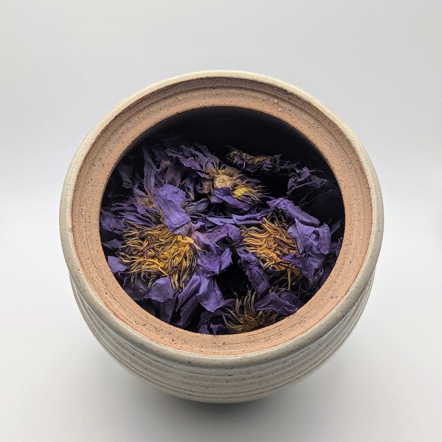 Blue Lotus