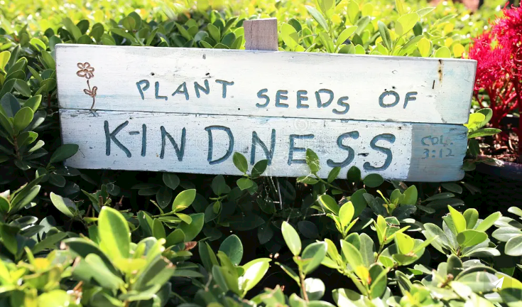 Plant Seeds of Kindess
