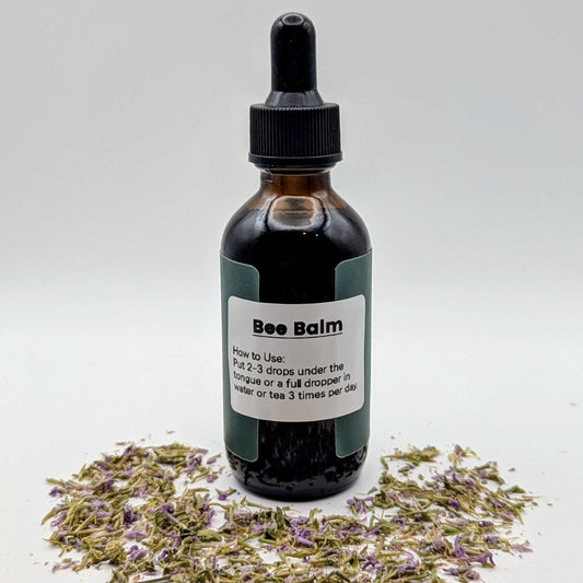 Bee Balm tincture bottle with dried herbs on a white background