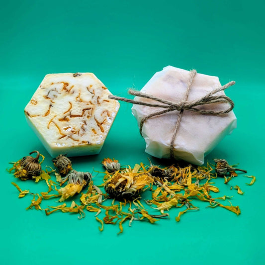 Two soap bars with natural elements on a teal background