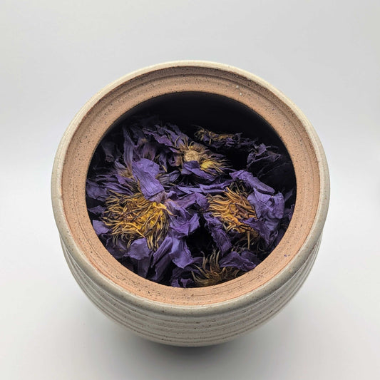 Blue Lotus