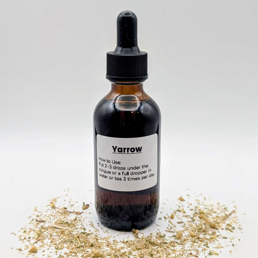 Yarrow tincture bottle with dried yarrow on a white background